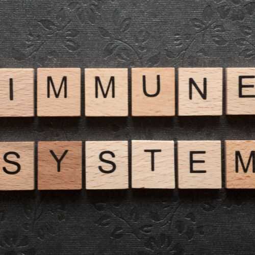 Boost Your Immune System with These Nutritious Foods