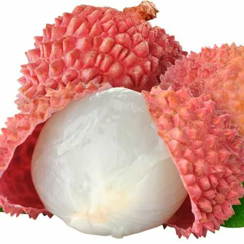 Litchi: The Nutritious and Delicious Fruit with Surprising Health Benefits