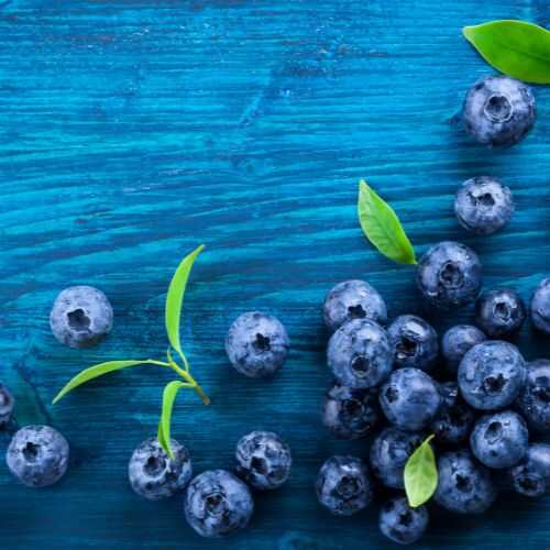 Why are Blueberries Good for You?