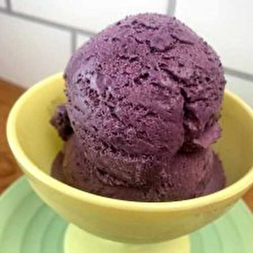 Keto Blueberry Ice Cream 