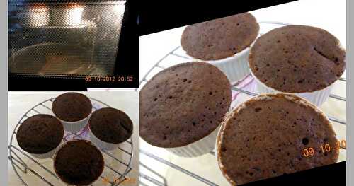 CHOCOLATE MUFFINS !!!!!!