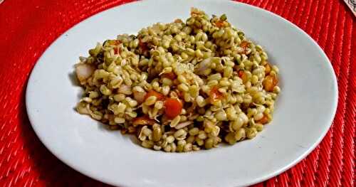 SPROUTED MOONG SALAD !!!!!!!