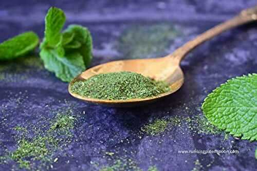Mint leaves powder | Pudina powder recipe | How to make dry pudina powder at home