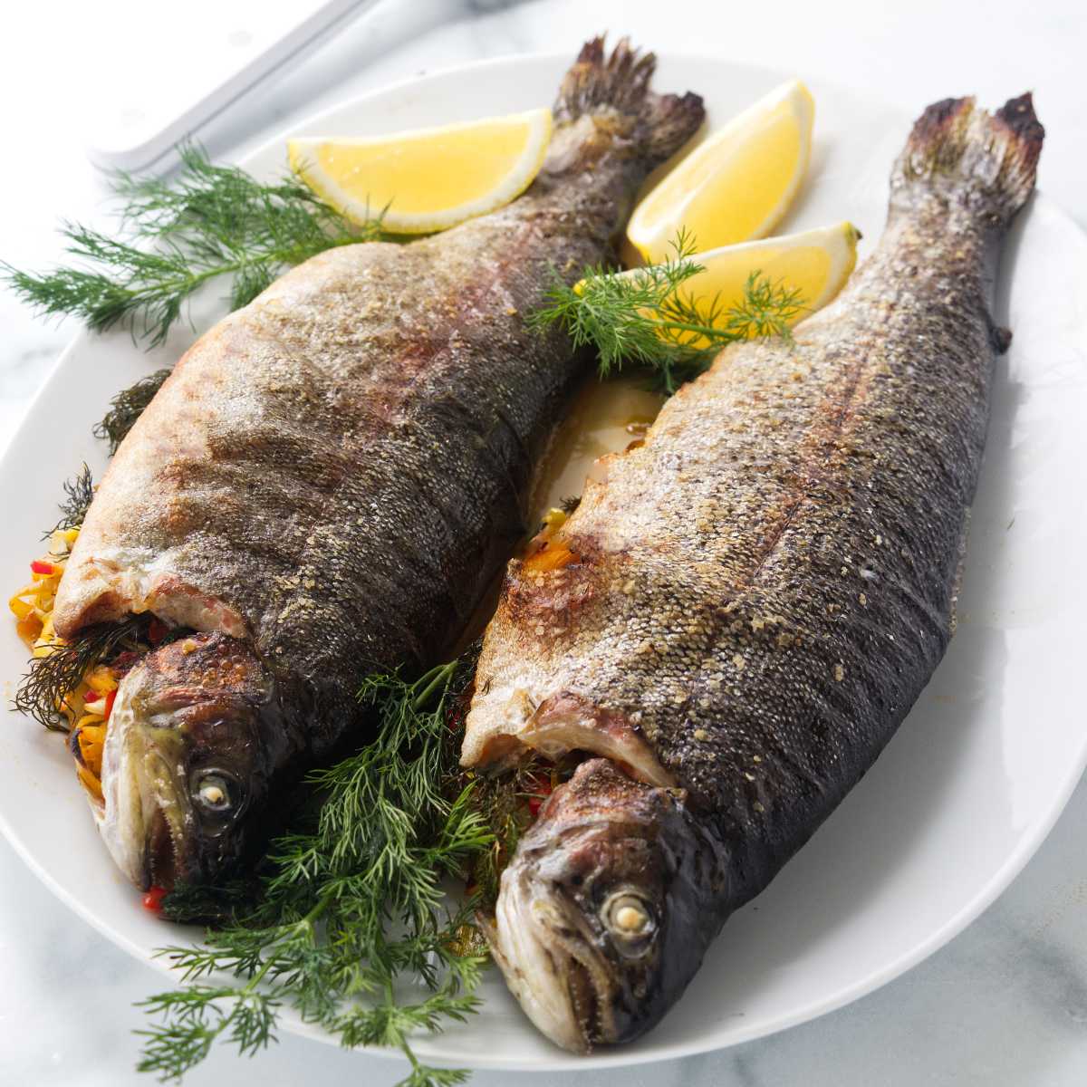 Stuffed Trout