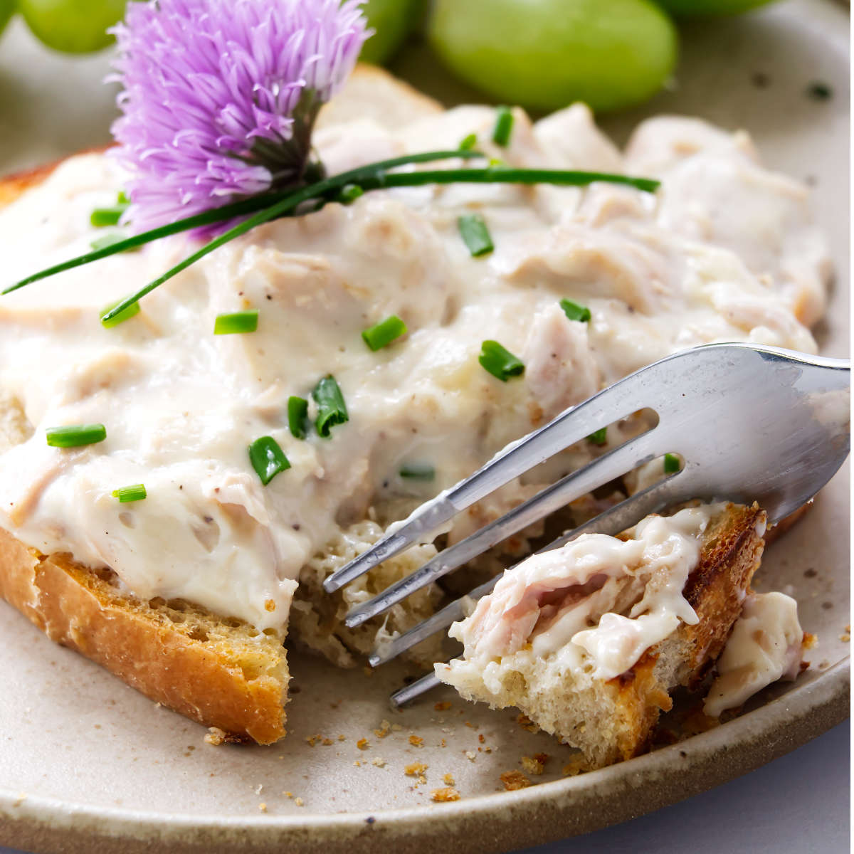 Creamed Tuna on Toast