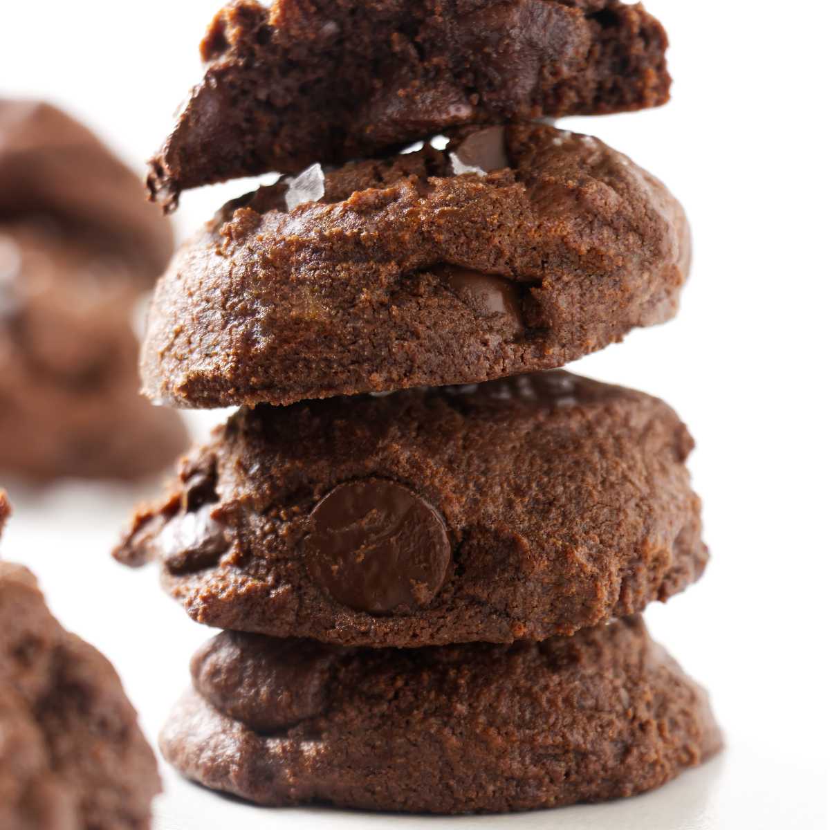 Sourdough Chocolate Fudge Cookies