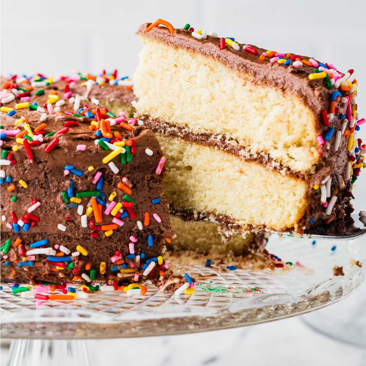 Sourdough Vanilla Cake