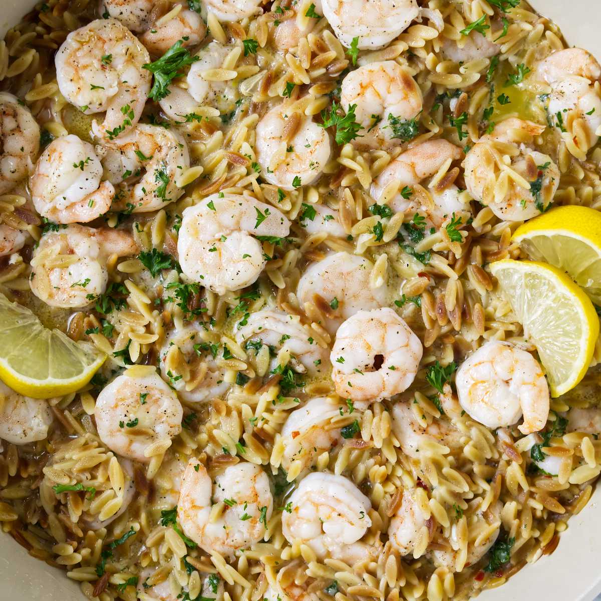 One Pot Lemon Shrimp and Orzo