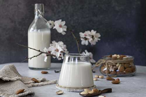Almond milk, a nice creamy own made milk