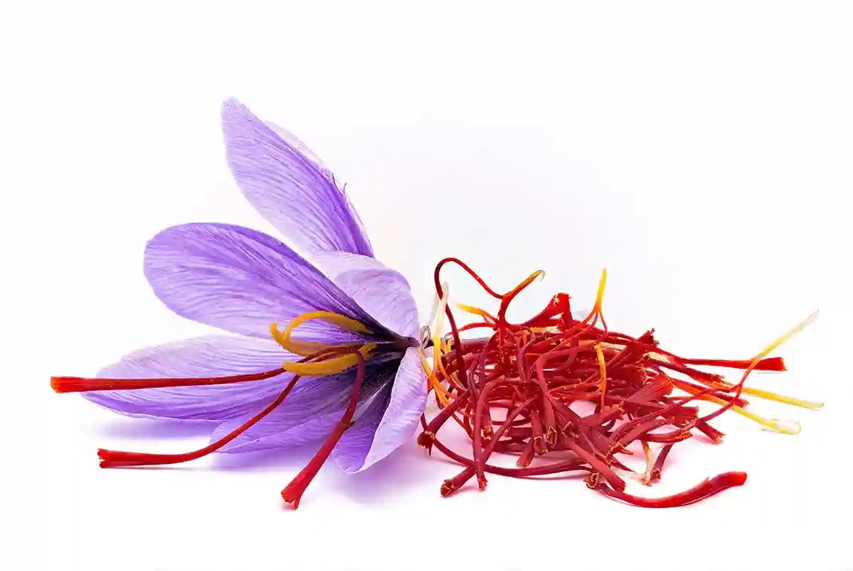 Saffron, the red gold in Mediterranean cuisine