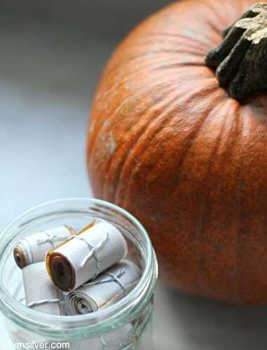 I brake for squash, part five: apple pumpkin fruit roll-ups | Sheri Silver - living a well-tended life... at any age