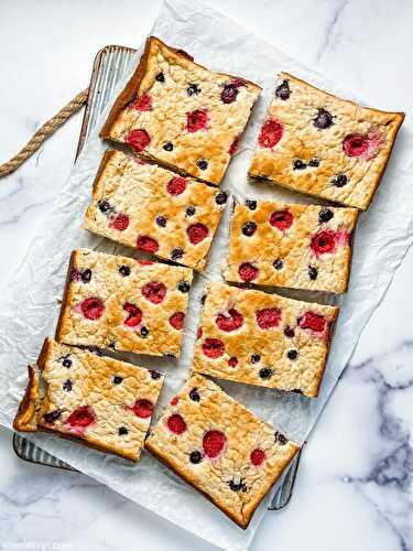 "Proatmeal" bars | Sheri Silver - living a well-tended life... at any age