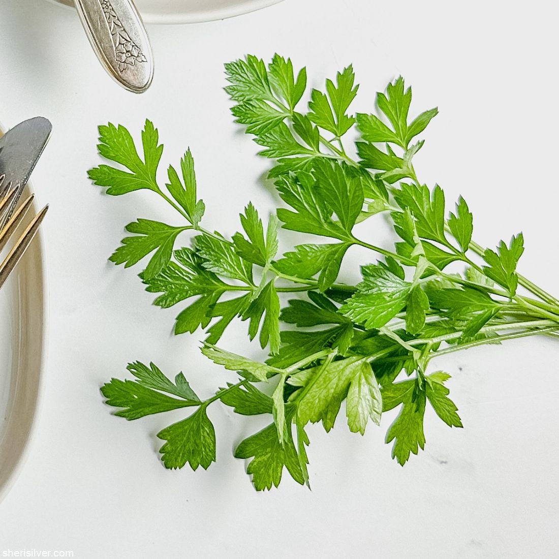 The best way to store herbs!