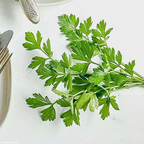 The best way to store herbs!