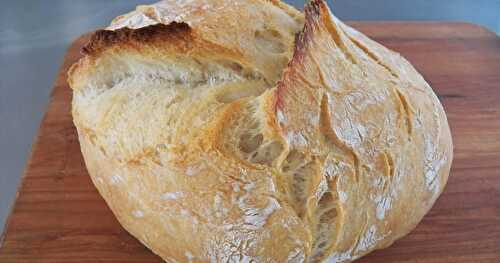 No-Knead Bread for SRC