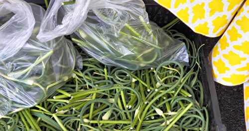Scapes, Garlic Scapes