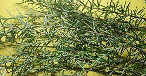 Drying Rosemary 