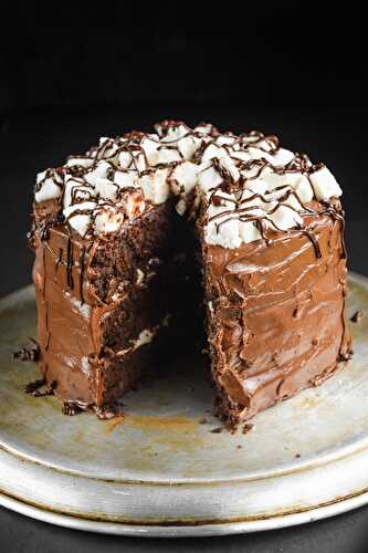 Rich and Dark Hot Cocoa Triple Layer Cake (Vegan)