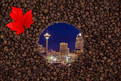 Three Calgary Fresh Coffee Roasters that you've Got to Try! - Sizzle and Sear