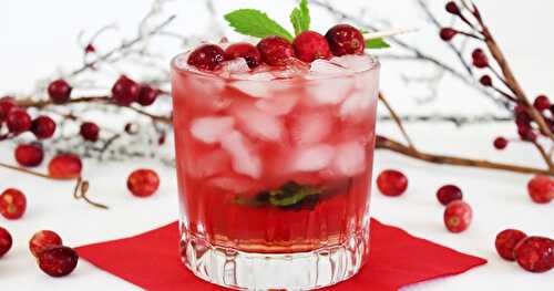 Cranberry Ginger Fizz Holiday Cocktail