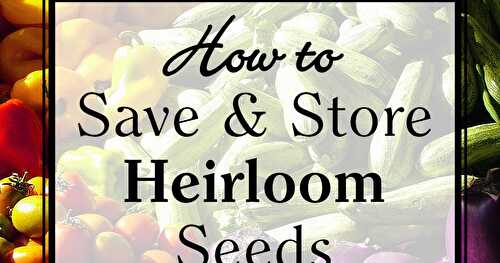 How to Save and Store Heirloom Seeds