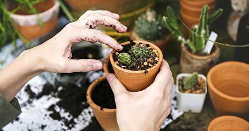 Low-Maintenance Gardening Tips for the Green Thumb Wannabe