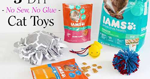 Treat Your Kitty with 3 Puurfect DIY No Sew, No Glue Cat Toys!
