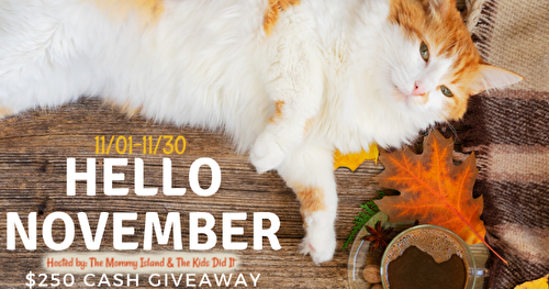 Win $250 in Cash in the Hello November Giveaway Event! [CLOSED]