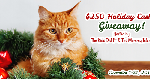 Win $250 in the Holiday Cash Giveaway Event! [CLOSED]