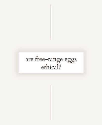 Are Free-Range Eggs Ethical? - Spoonful of Kindness