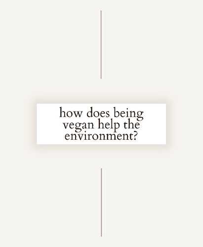 How Does Being Vegan Help the Environment? - Spoonful of Kindness