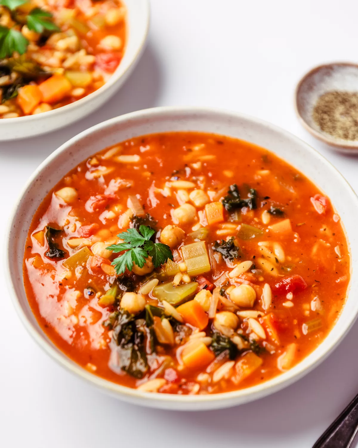 Vegetable Orzo Soup