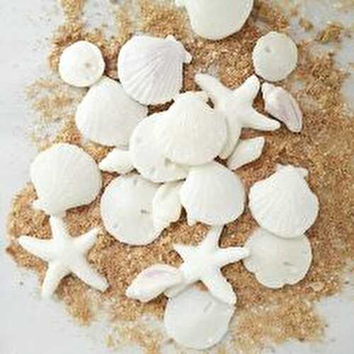 Edible Sugar Seashells