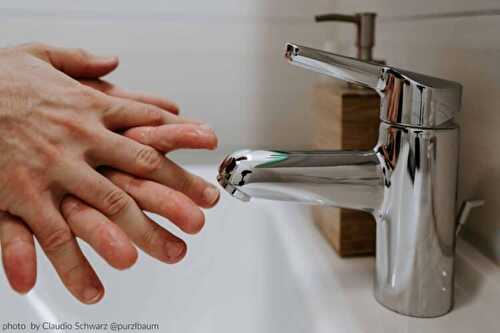 Proper Hand Washing - Sula and Spice