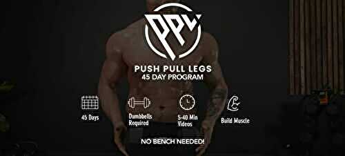 Workout Program – Push Pull Legs – 45 Days Program