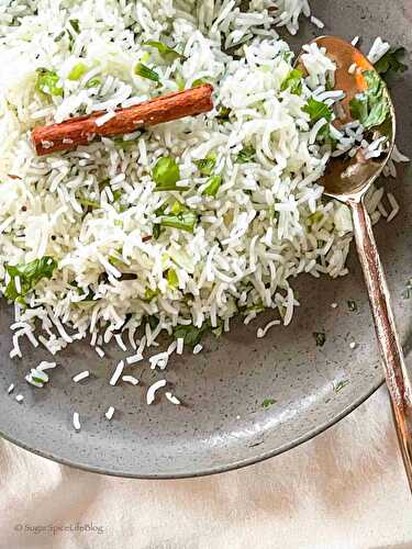 Scallion Garlic Indian Fried Rice