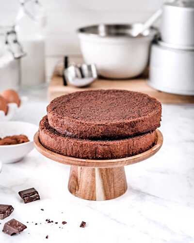 Chocolate sponge Molly cake