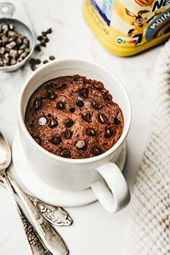 Hot cocoa mug cake