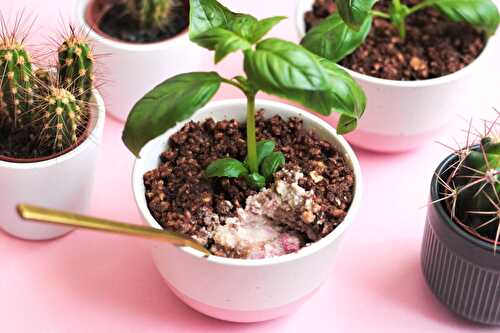 No Bake “Flower Pot” Cake