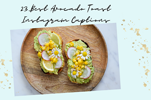 23 Best Avocado Toast Instagram Captions Everyone Will Love