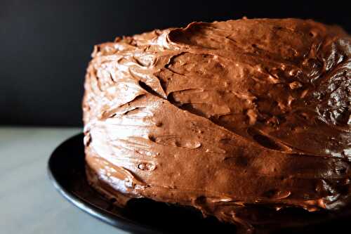Chocolate Cake with Chocolate Chip Mascarpone Filling and Chocolate Fudge Frosting