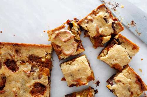 Chocolate Chip Caramel Pretzel Blondies