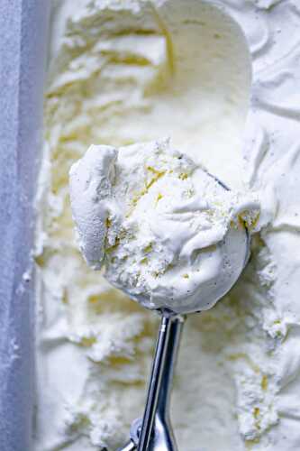 No Churn Vanilla Bean Ice Cream
