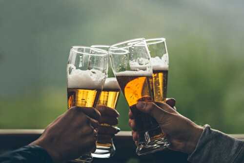 Light Beer: Taste, 9 Best Brands + 3 Types