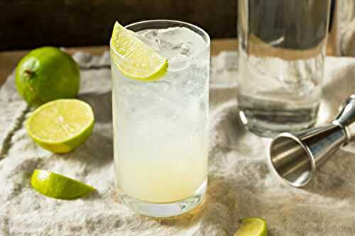 Gin Rickey: Best Cocktail Recipe + 5 Delicious Variations