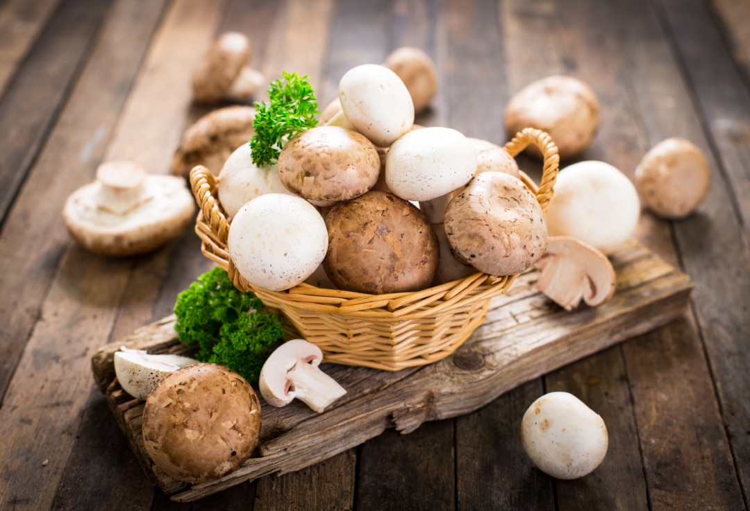 5 Health Benefits of Mushrooms + 5 Tips and Hacks