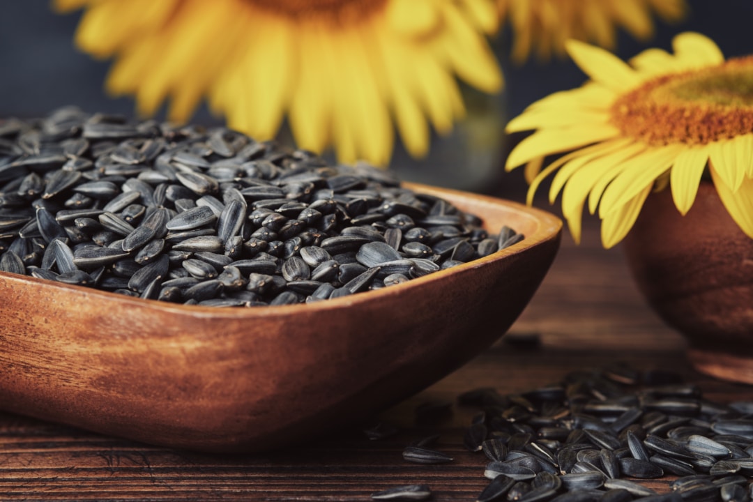 11 Health Benefits of Sunflower Seeds & 3 Recipe Ideas
