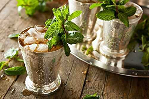 Mint Julep: Recipe, 4 Variations & 3 Similar Cocktails