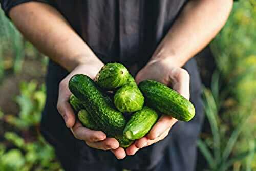 3 Health Benefits of Cucumbers + 6 Recipe Ideas and Tips