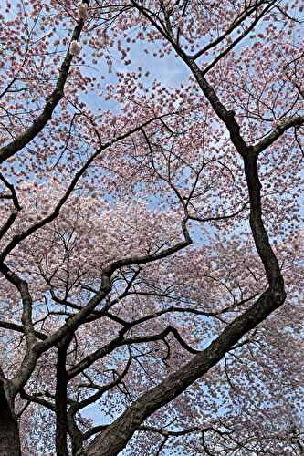 What’s Been Cooking: April 2026